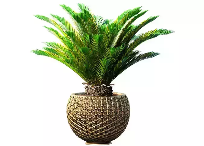 Decorative Cycas palm in a golden vase in Art Deco style