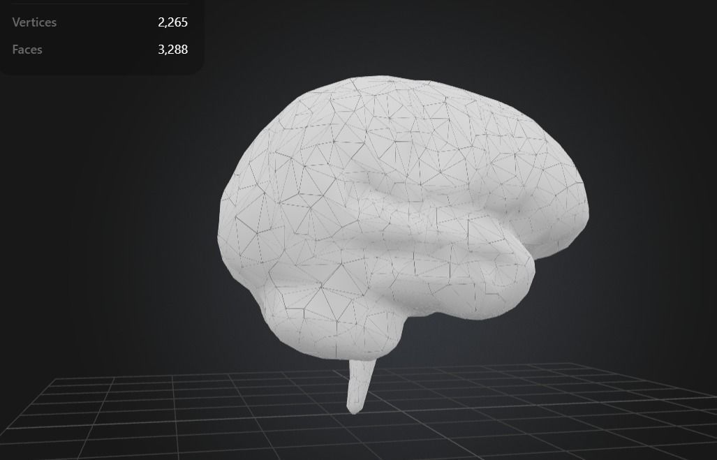 FREE Human Brain Free low-poly 3D model_4