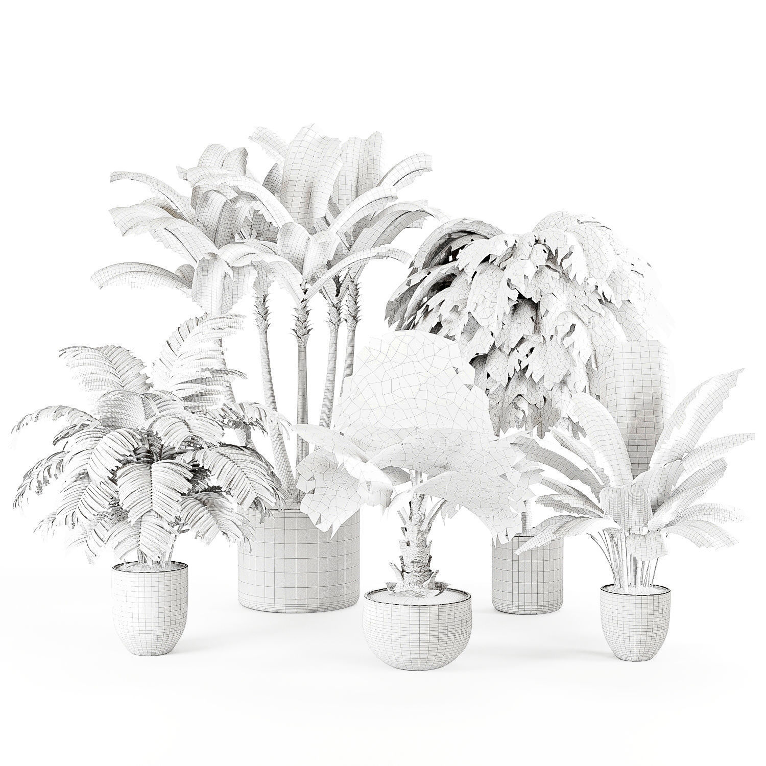 Indoor Plants Palm and Banana set 3D model_6