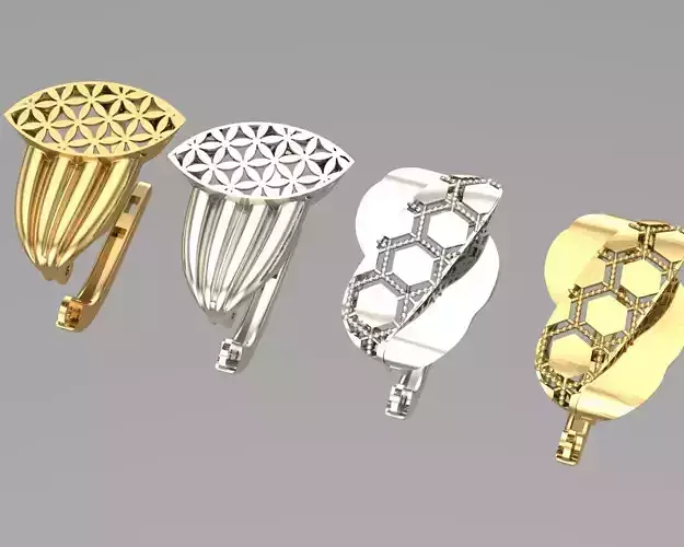 Two Stunning earrings