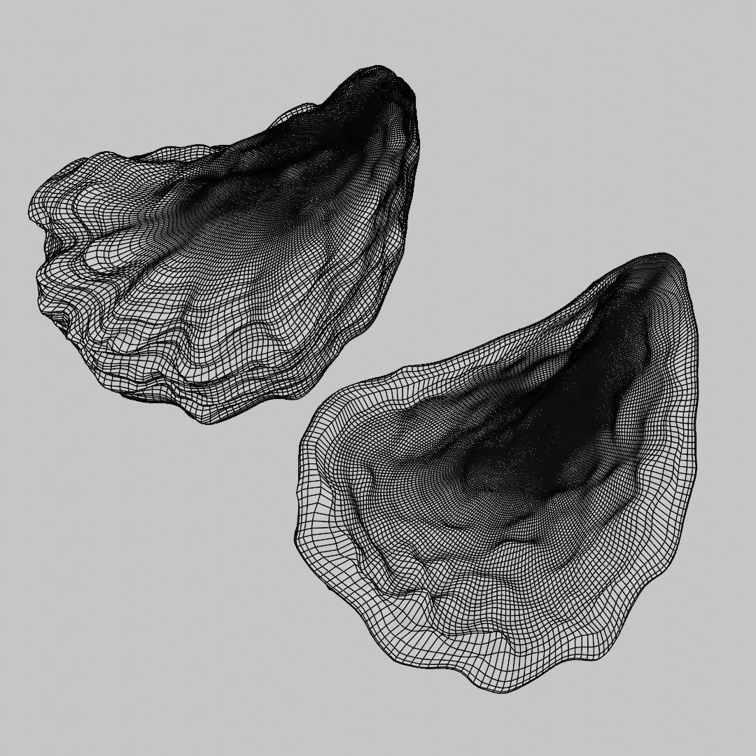 oyster shell volume 1 3D print model_5