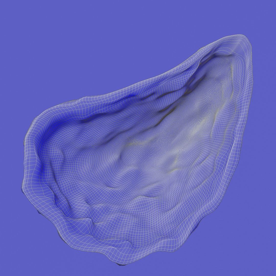 oyster shell volume 1 3D print model_3