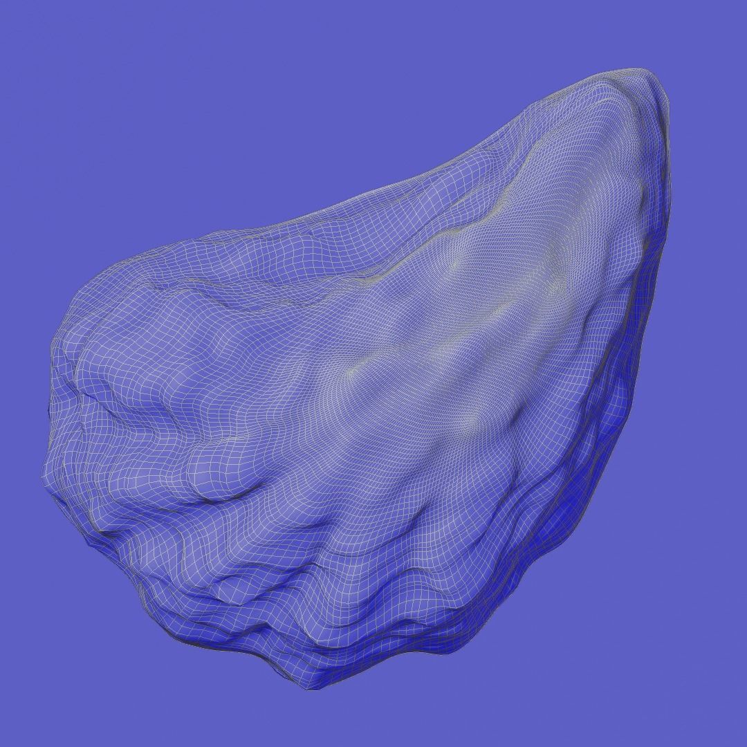 oyster shell volume 1 3D print model_2