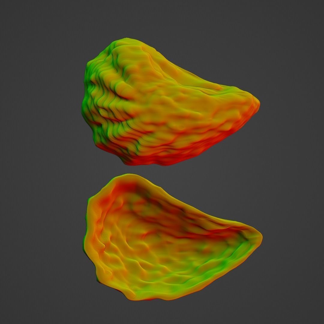 oyster shell volume 1 3D print model_4