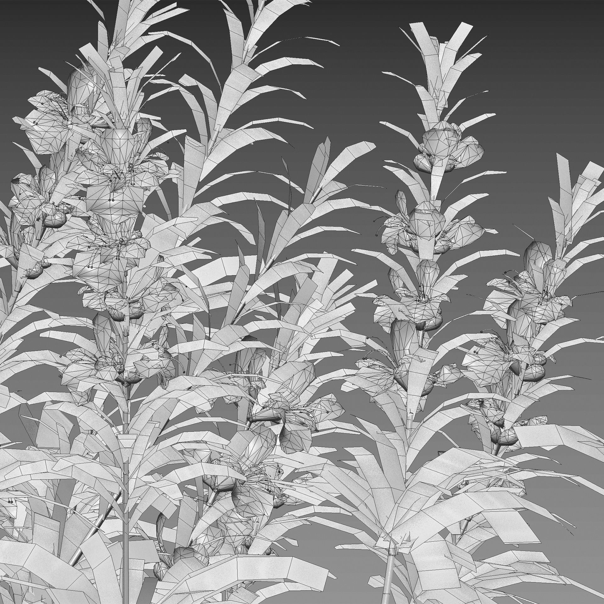 Rosmarinus officinalis - Rosemary 3D model_4