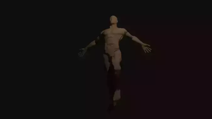 Low poly male figure rigged  