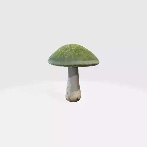 A green mushroom