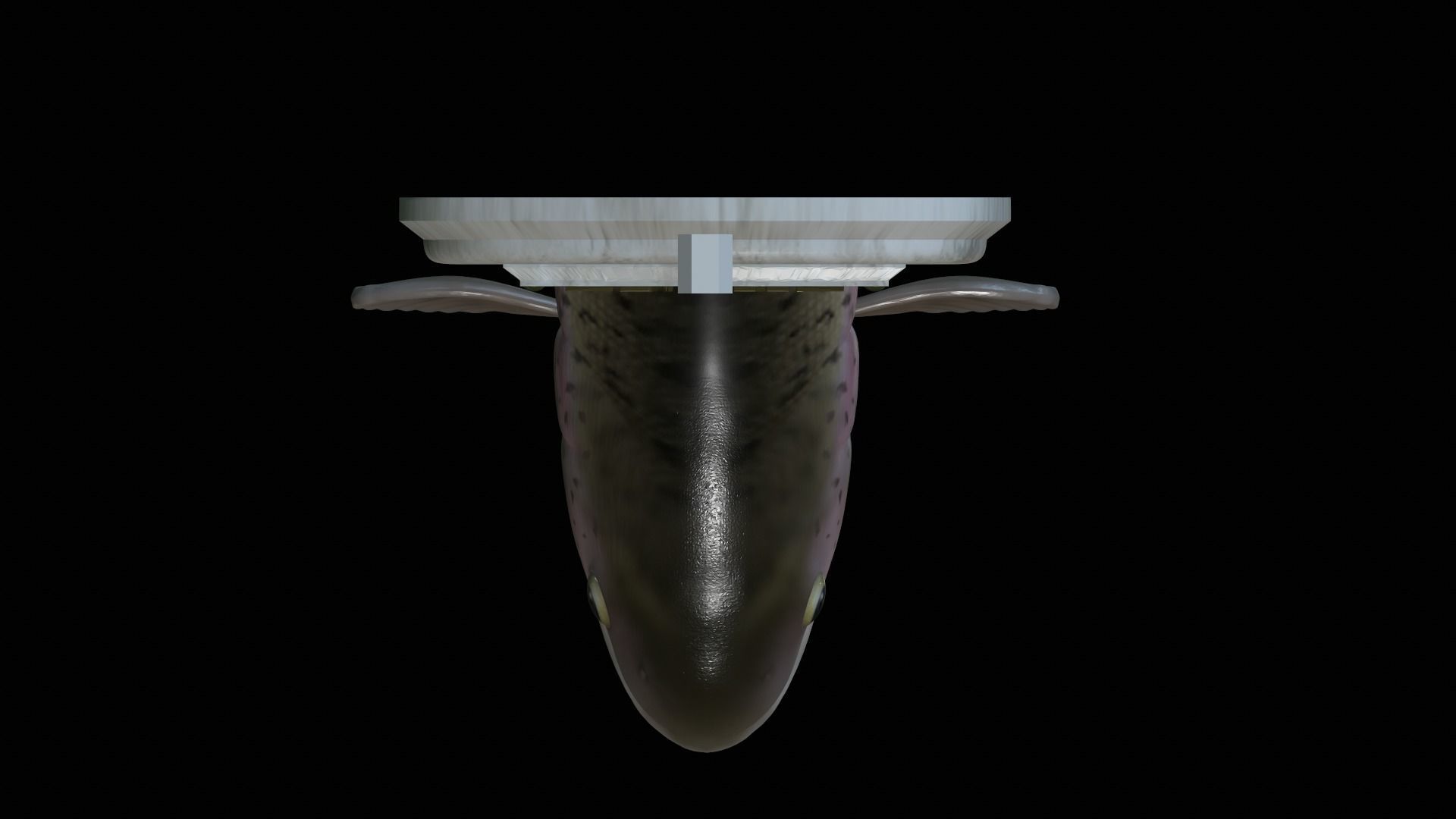 fish head trophy rainbow trout statue detailed texture 3D print model_37