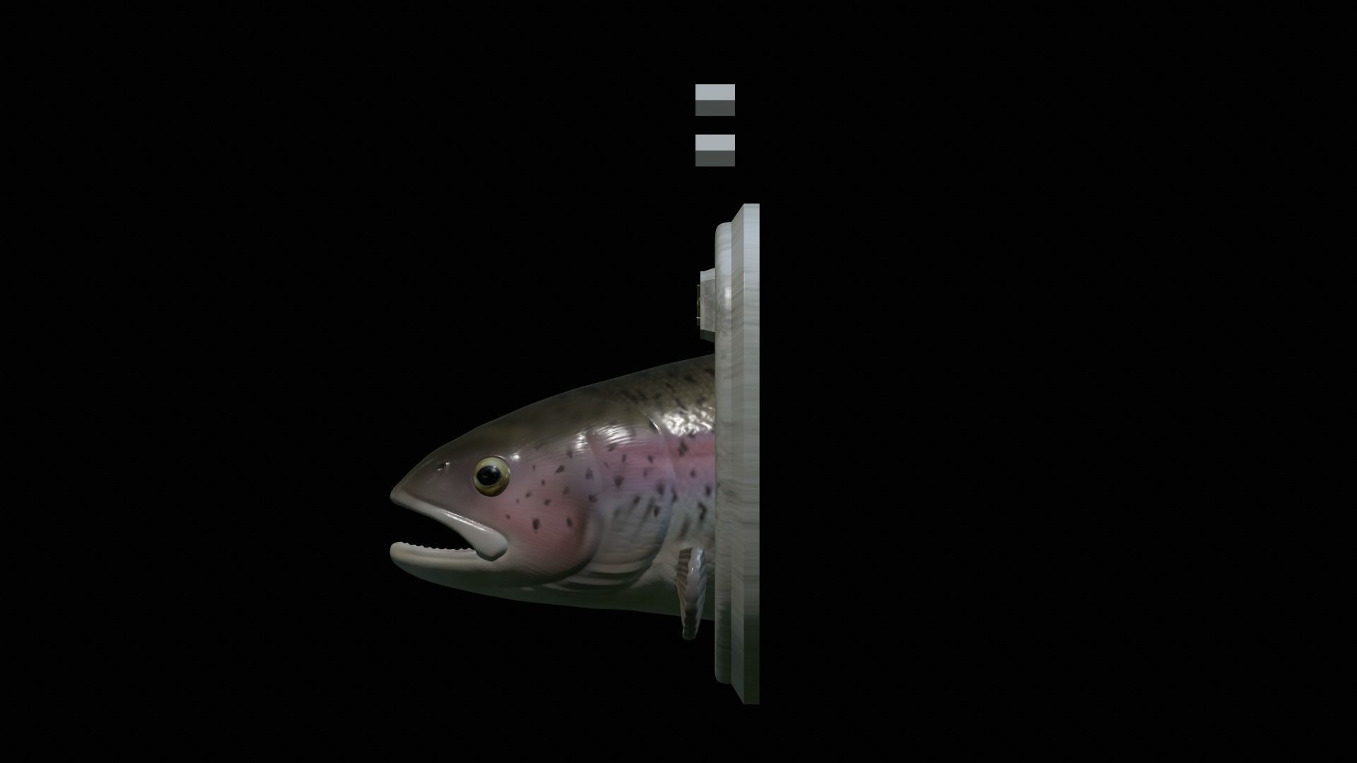 fish head trophy rainbow trout statue detailed texture 3D print model_15