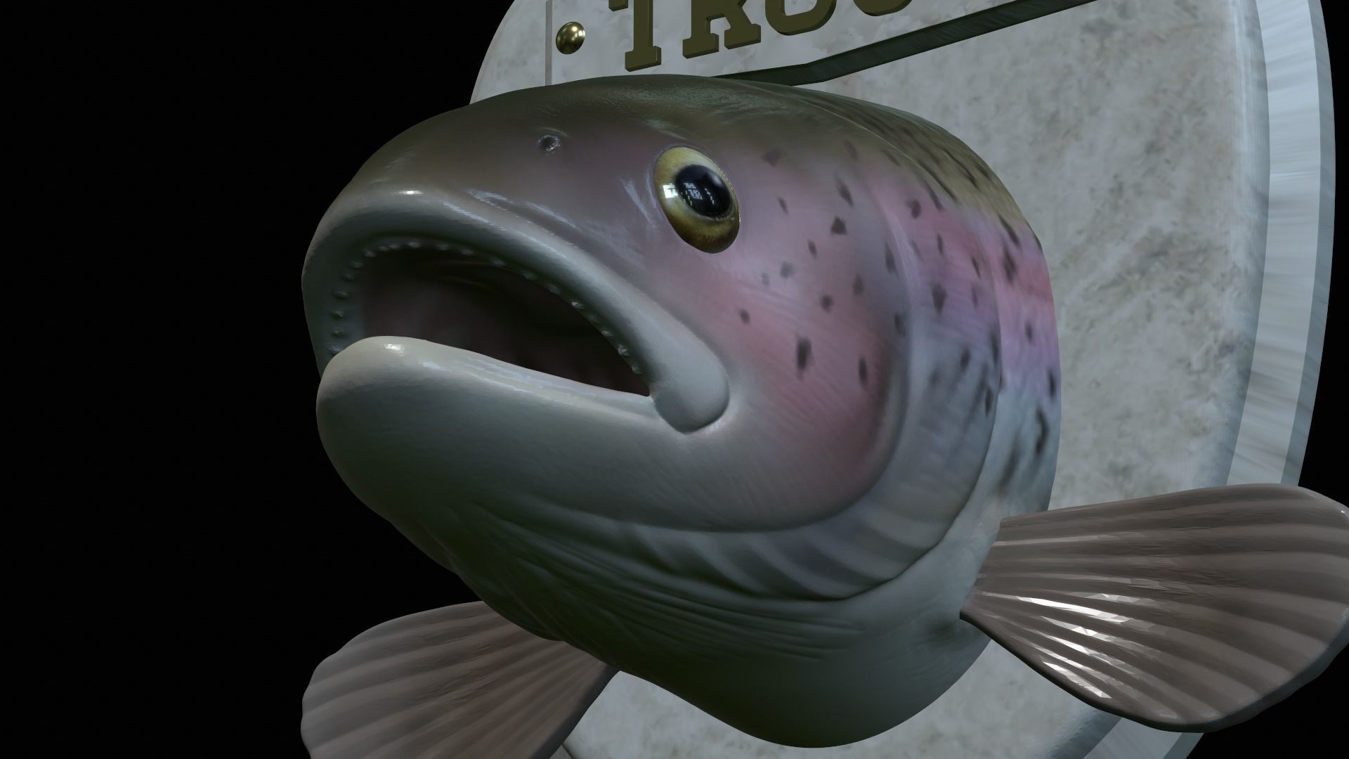 fish head trophy rainbow trout statue detailed texture 3D print model_43