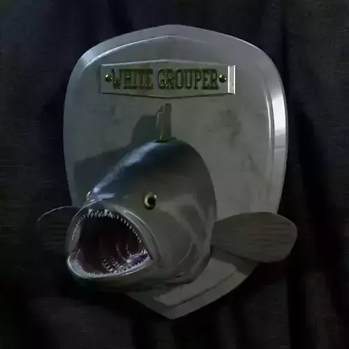 fish head trophy white grouper statue detailed texture 3D print model