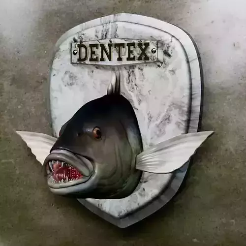 fish head trophy Common dentex statue detailed texture 3D print model