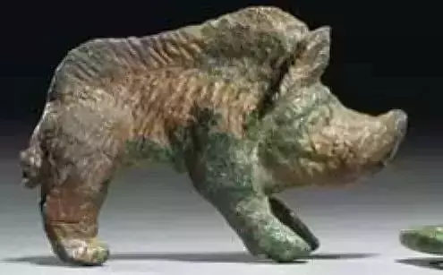 Small boar - Picollo Cinghiale