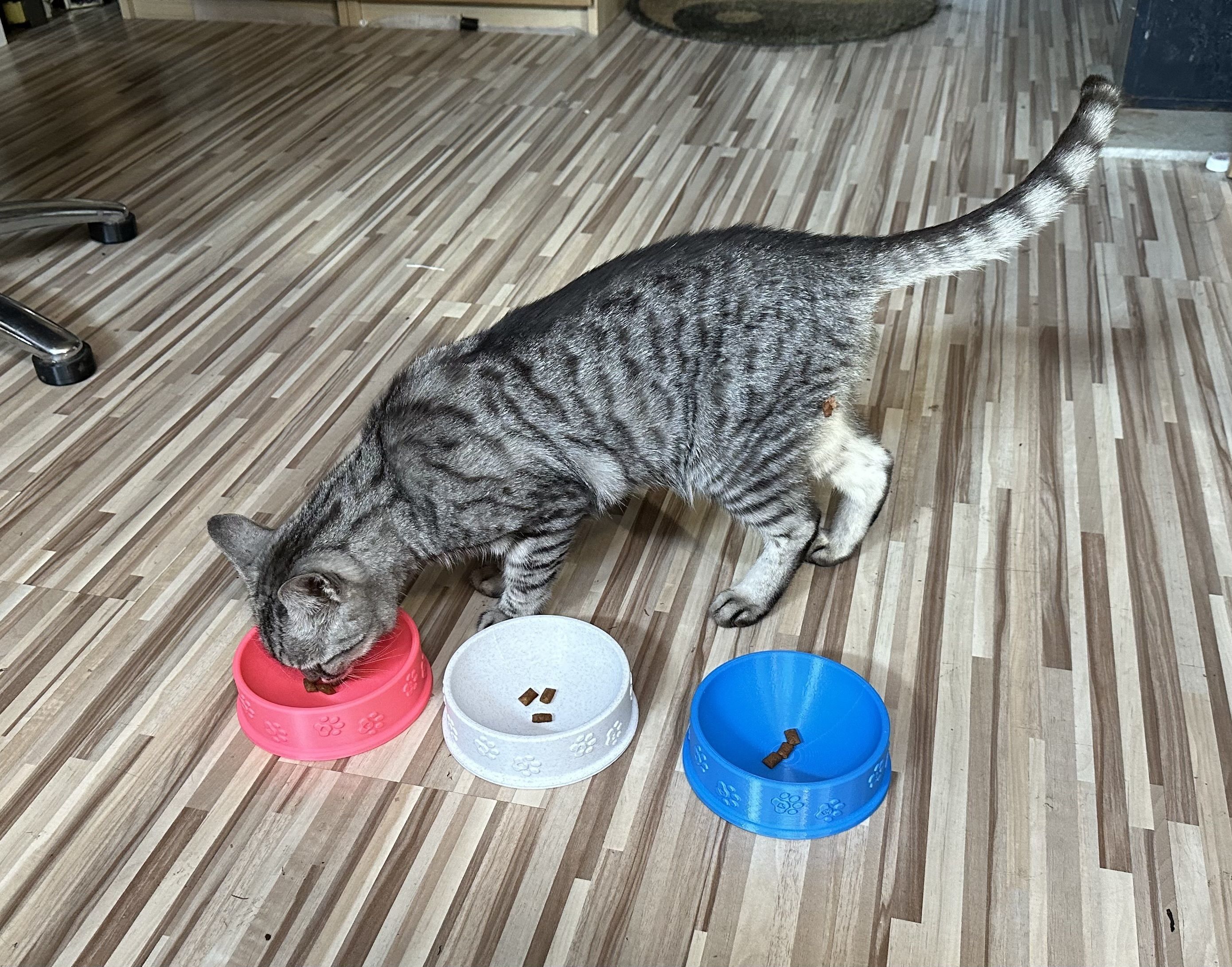Cat Bowl 3D print model_4