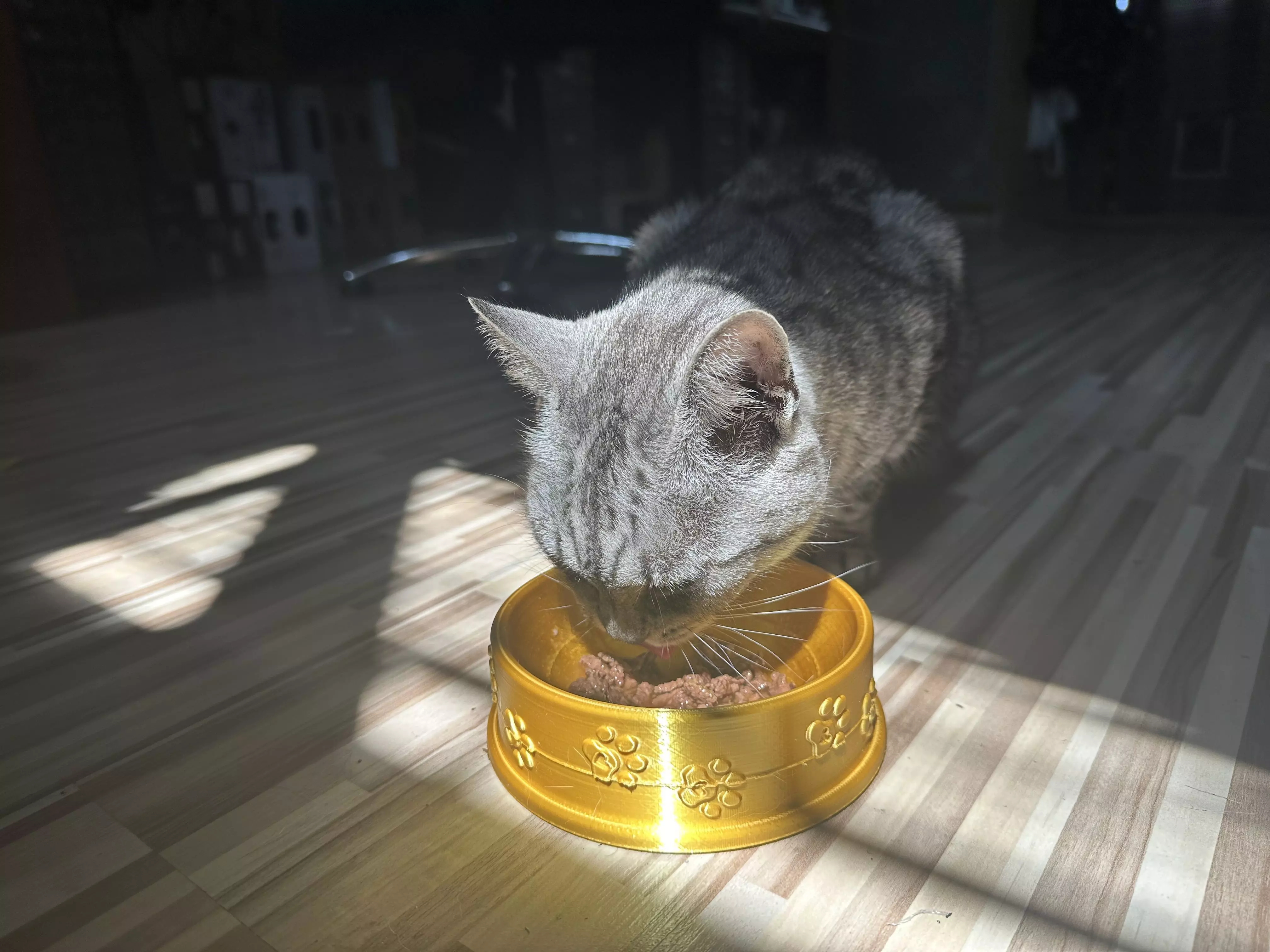 Cat Bowl 3D print model_0