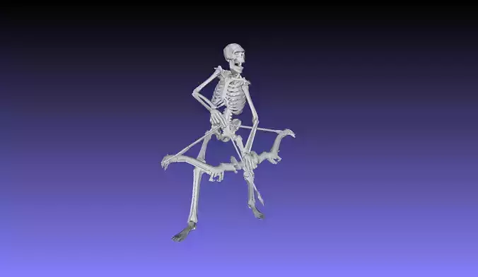 Printle KM Homme 215 T