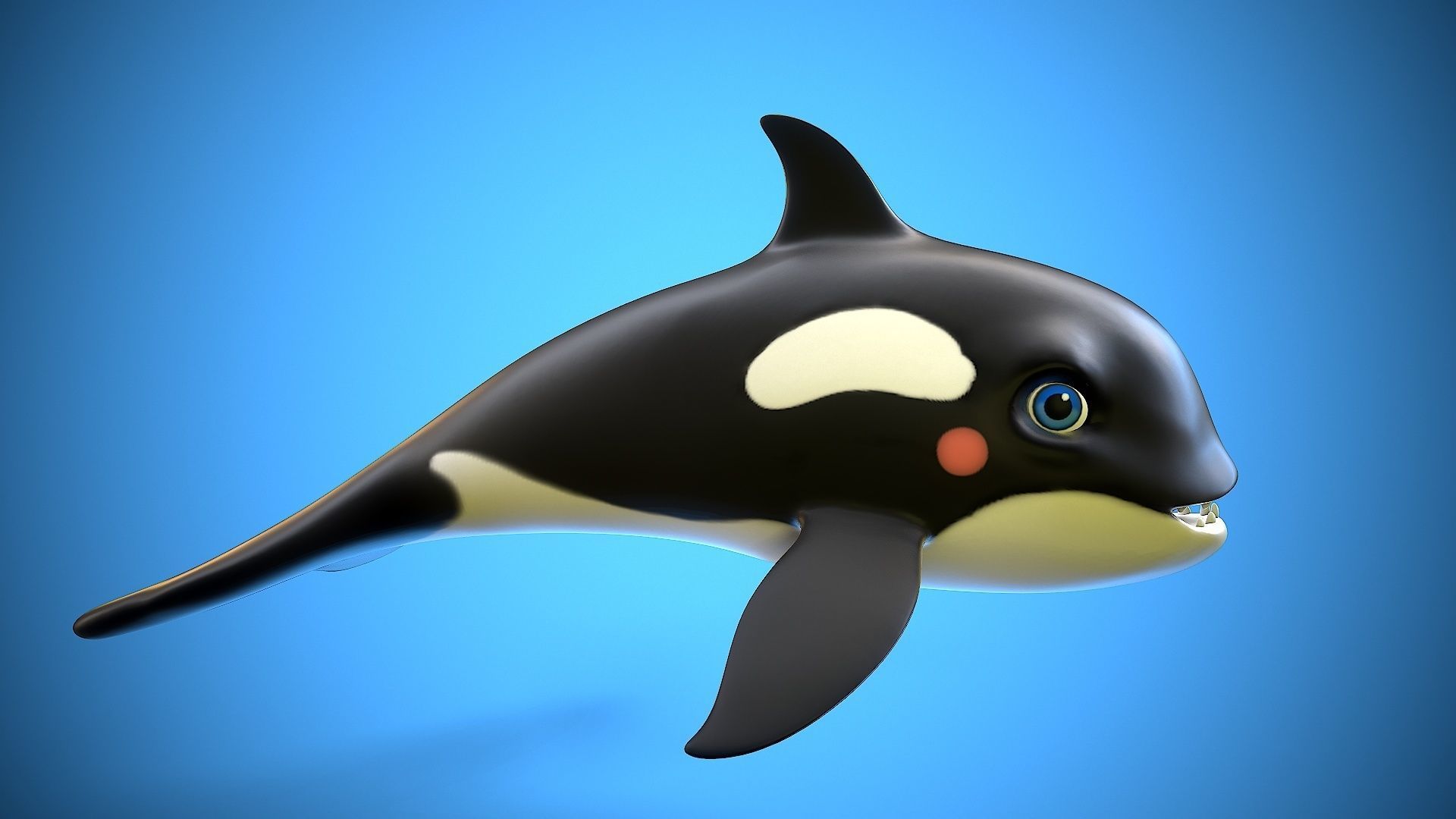 cartoon orca Low-poly 3D model_3