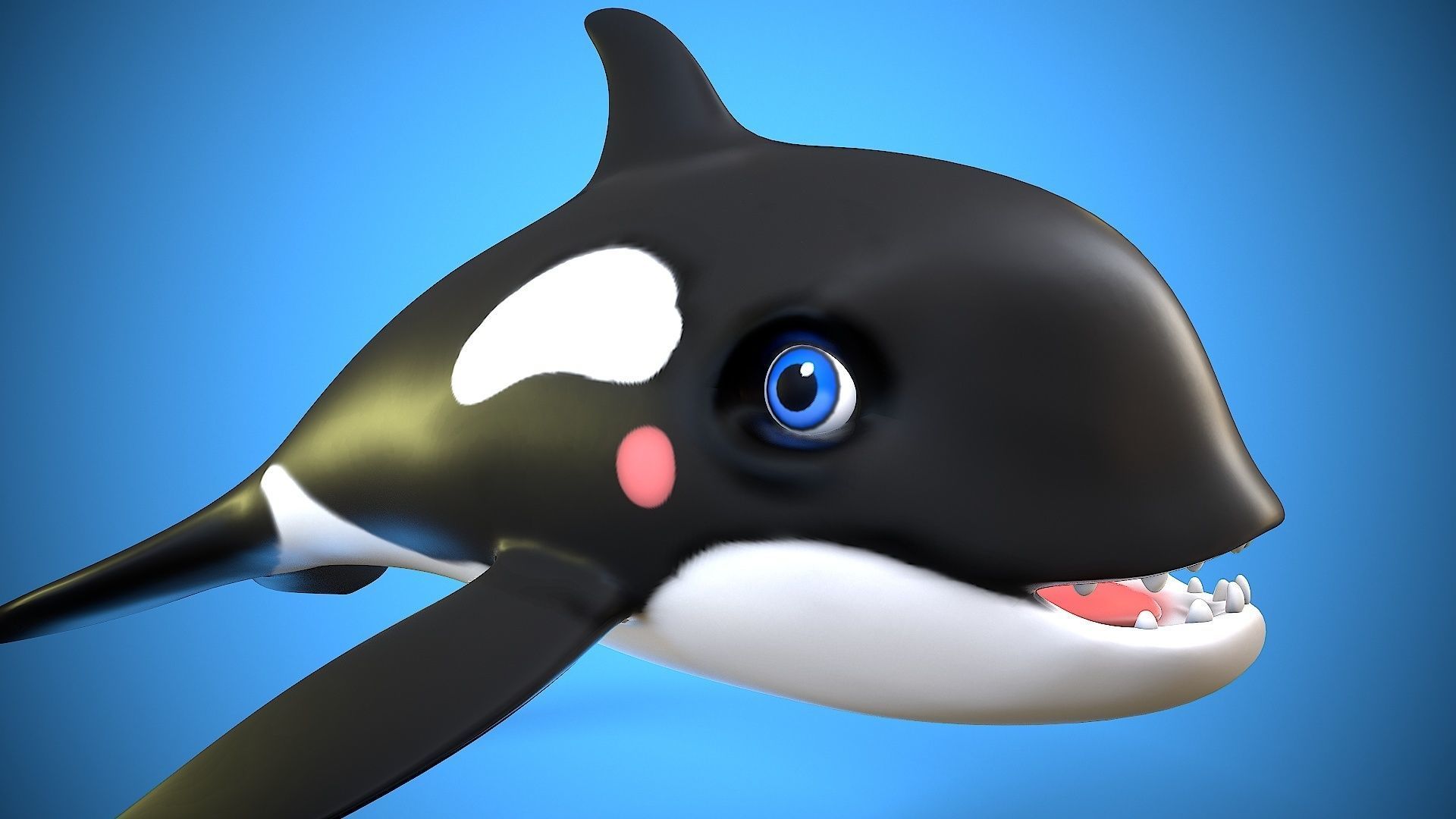 cartoon orca Low-poly 3D model_7