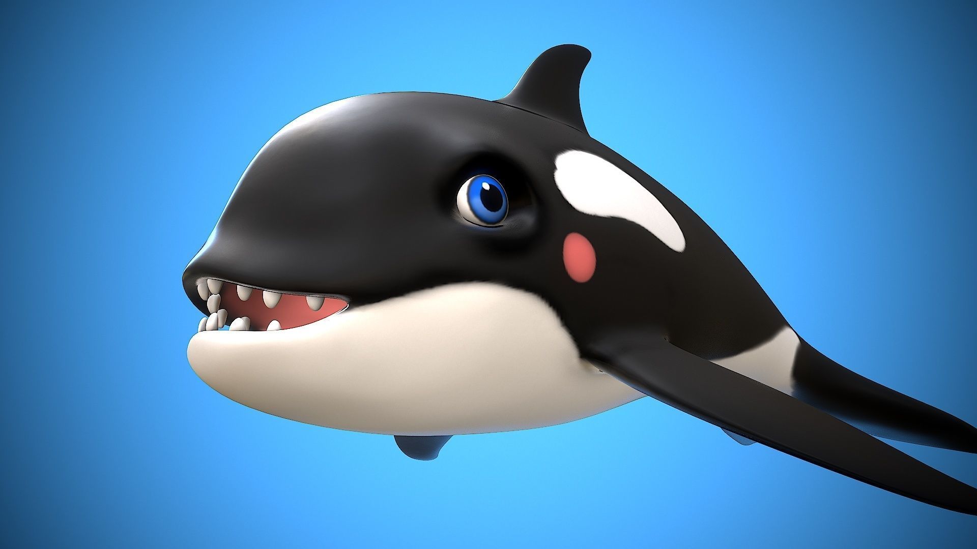 cartoon orca Low-poly 3D model_8