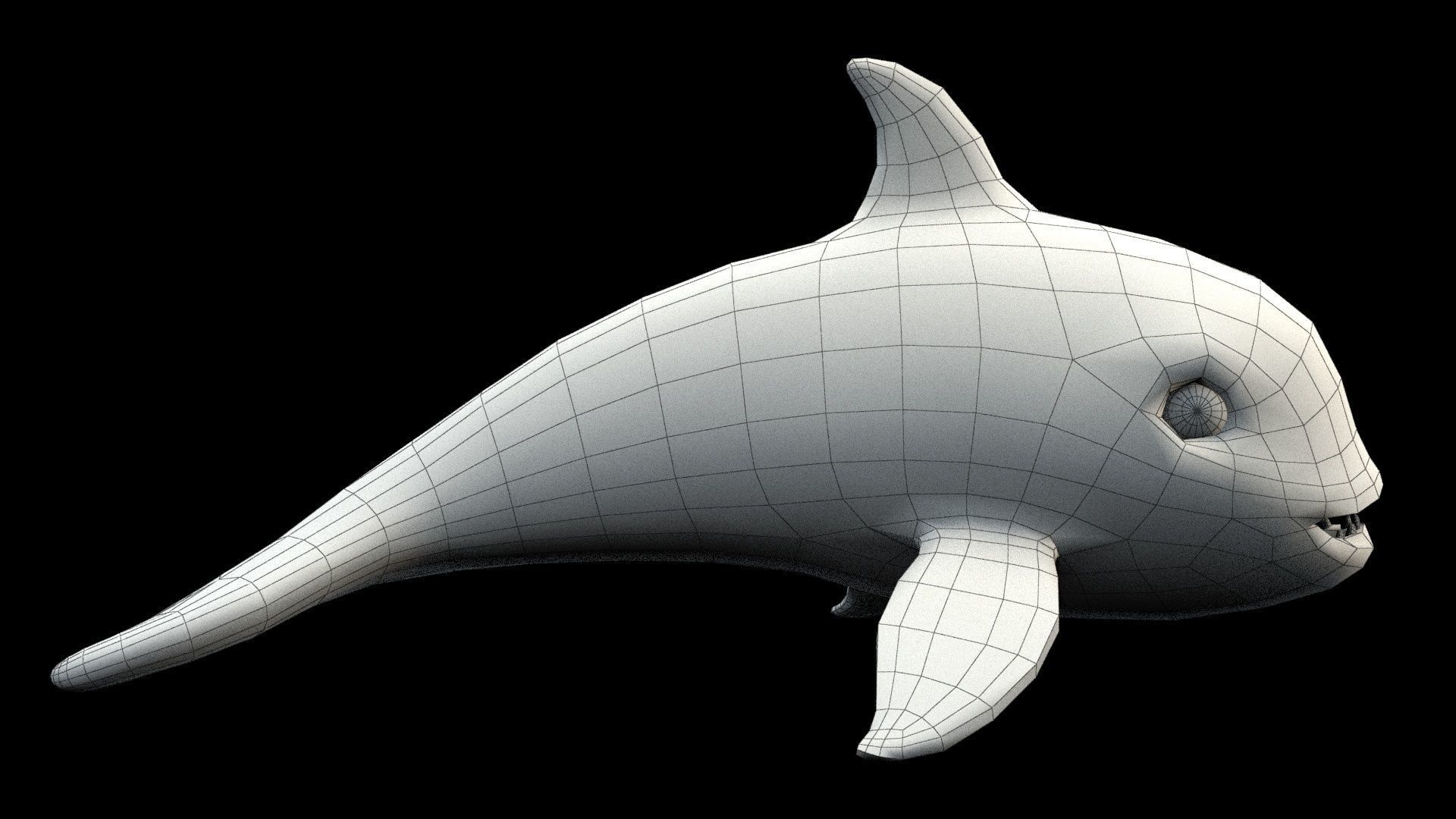 cartoon orca Low-poly 3D model_12