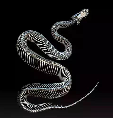 SPECIMEN OF SNAKE BONE