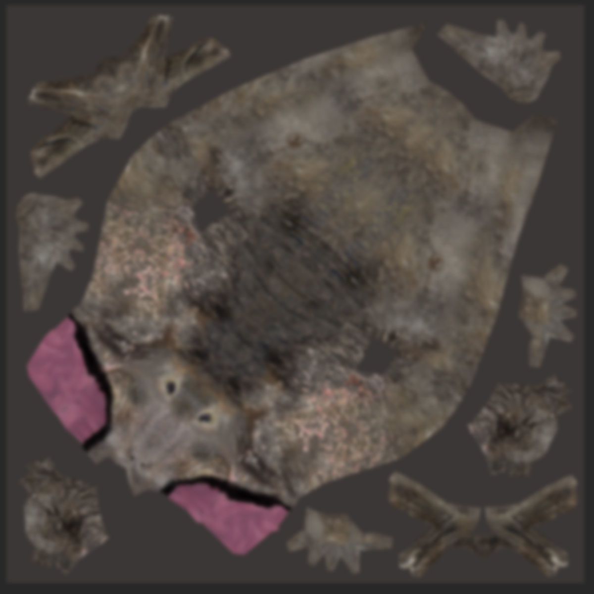 Sea Elephant Seal - 8K 3d animated 3D model_22