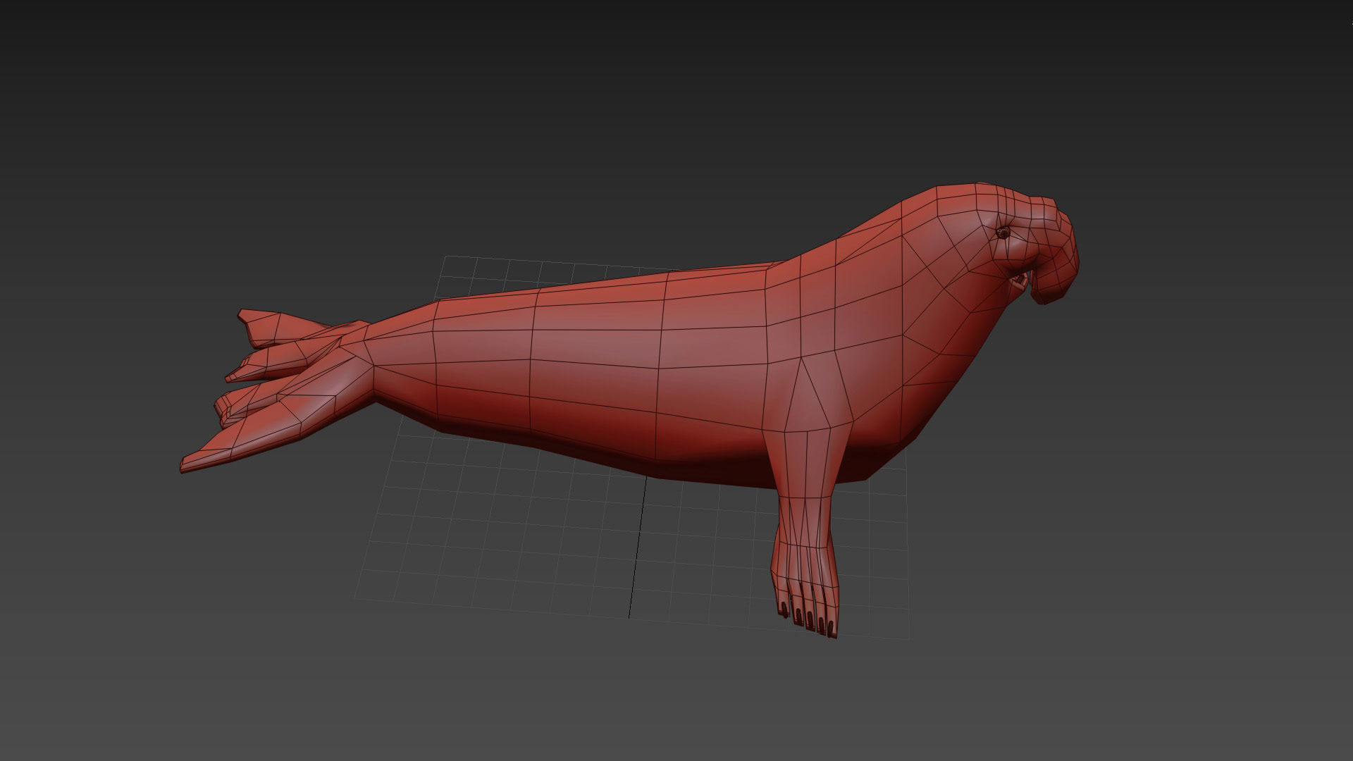 Sea Elephant Seal - 8K 3d animated 3D model_15