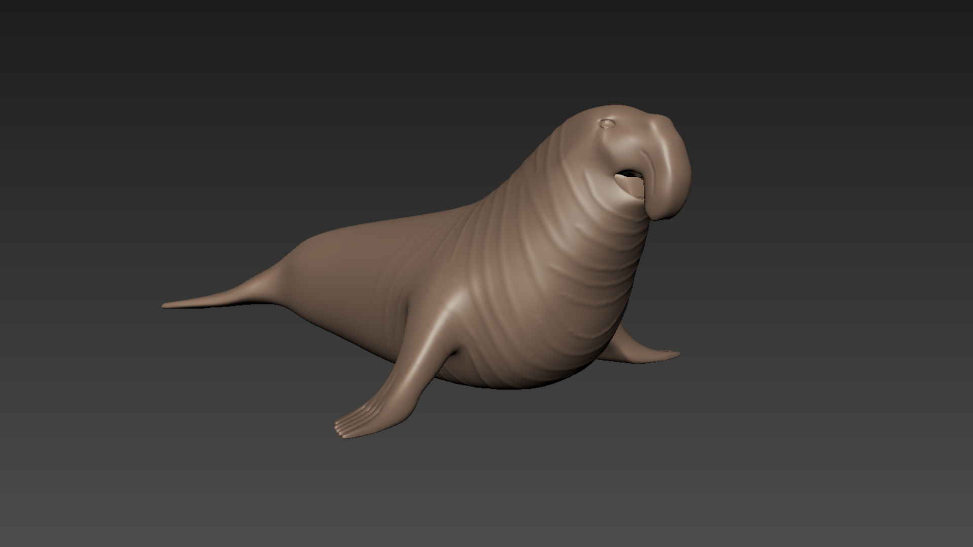 Sea Elephant Seal - 8K 3d animated 3D model_21