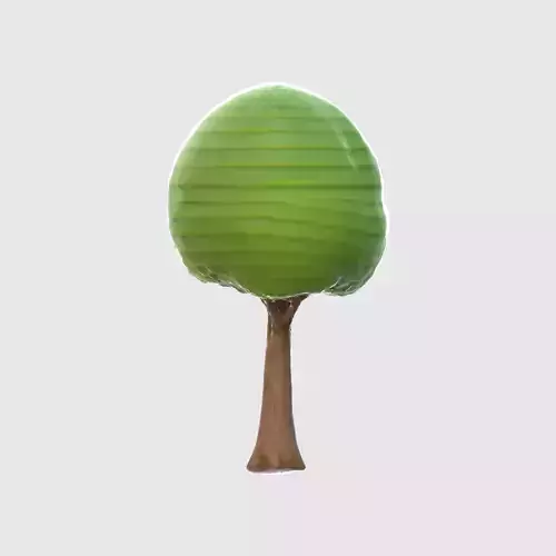 A green rounded tree