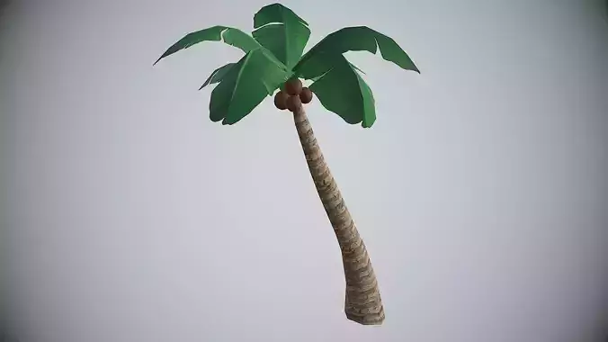 Palm Coconut Tree 