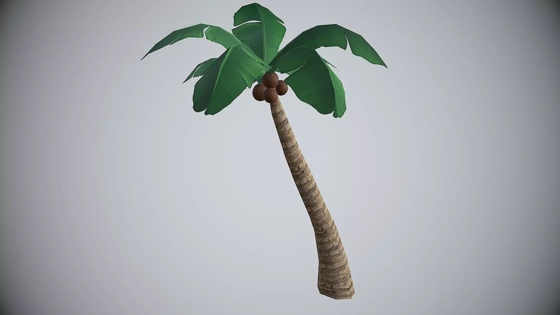 Palm Coconut Tree Low-poly 3D model