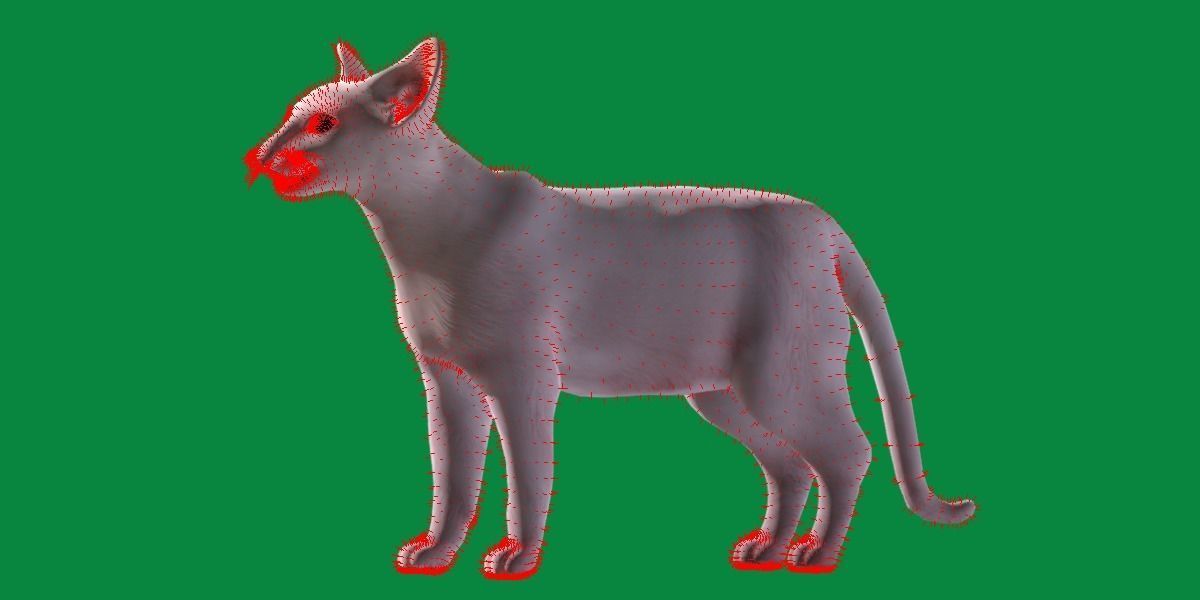 Oriental Longhair Cat Low-poly 3D model_12