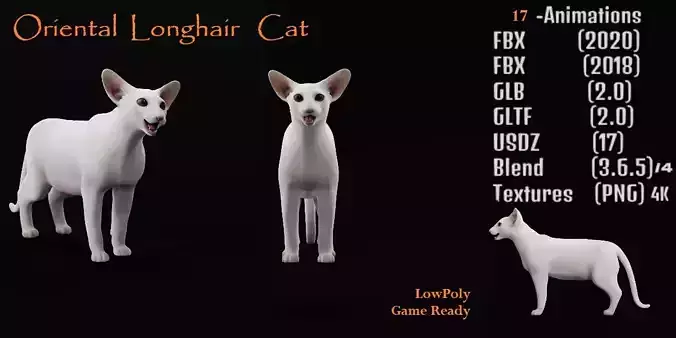 Oriental Longhair Cat Low-poly 3D model