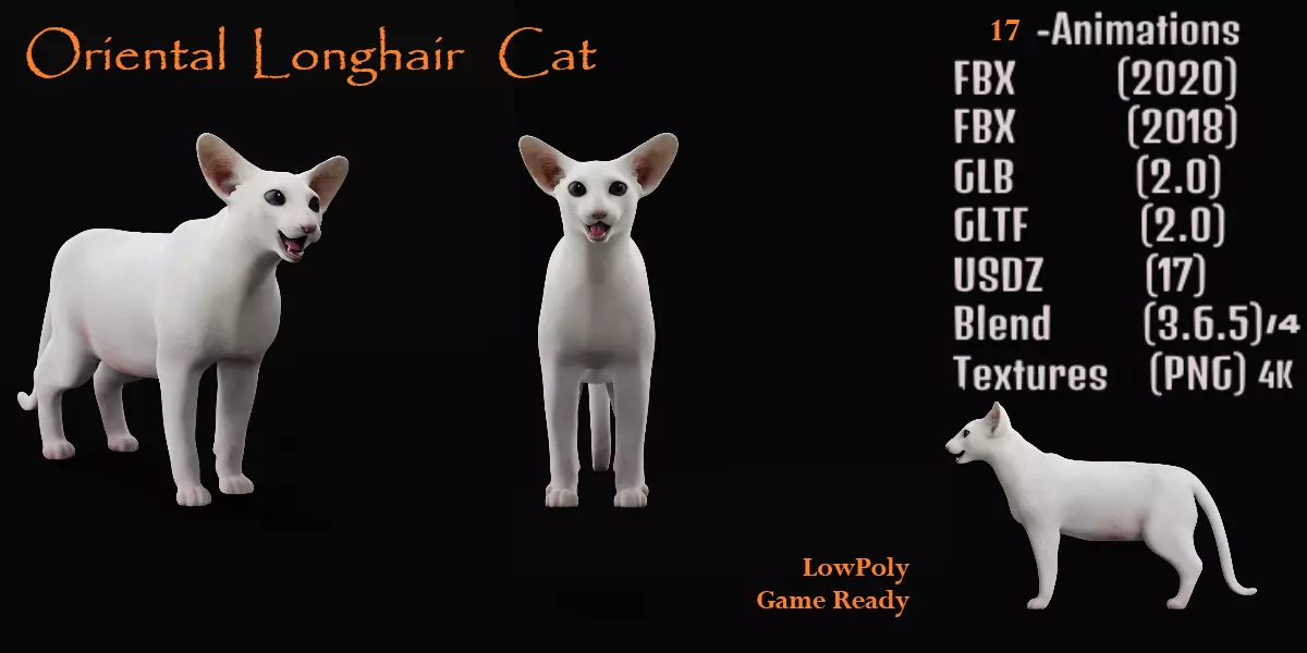 Oriental Longhair Cat Low-poly 3D model_0