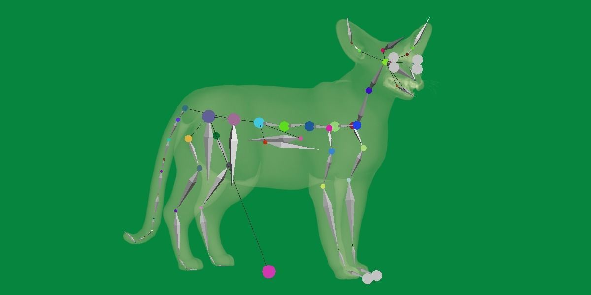 Oriental Longhair Cat Low-poly 3D model_20