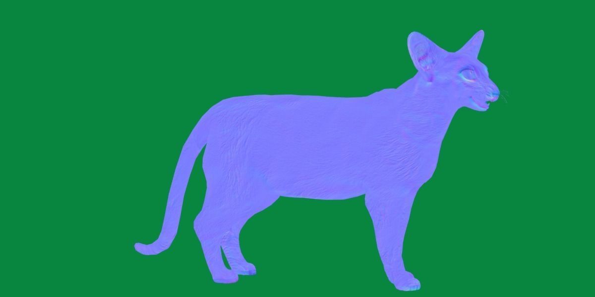 Oriental Longhair Cat Low-poly 3D model_26