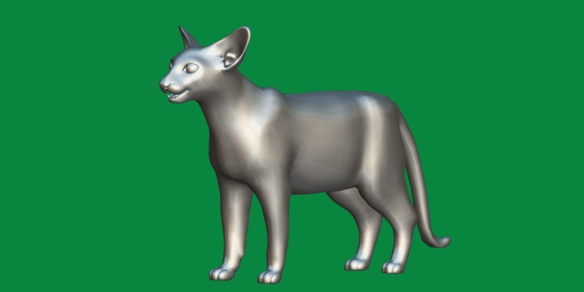 Oriental Longhair Cat Low-poly 3D model_6