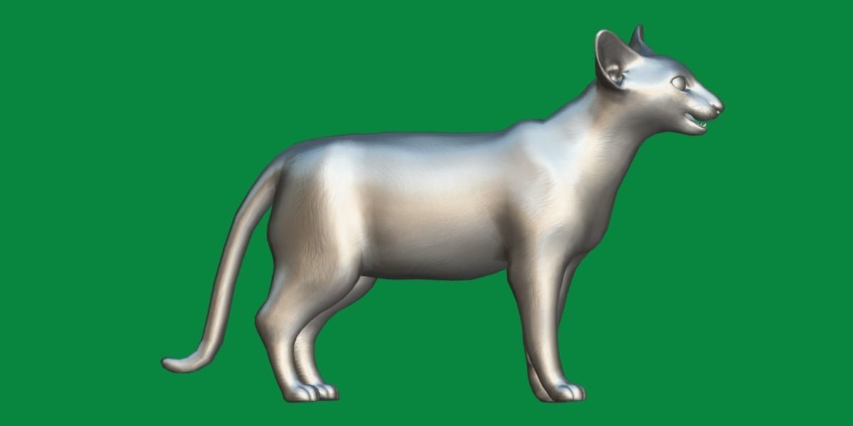 Oriental Longhair Cat Low-poly 3D model_8