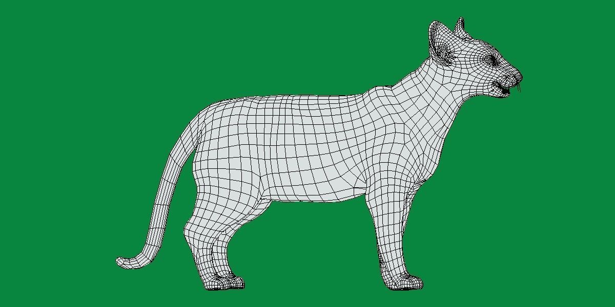 Oriental Longhair Cat Low-poly 3D model_9