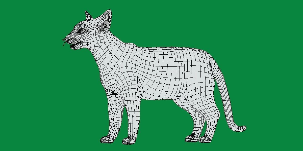 Oriental Longhair Cat Low-poly 3D model_11