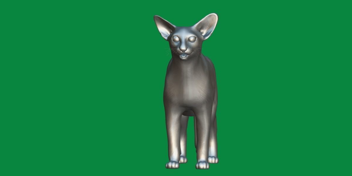 Oriental Longhair Cat Low-poly 3D model_7