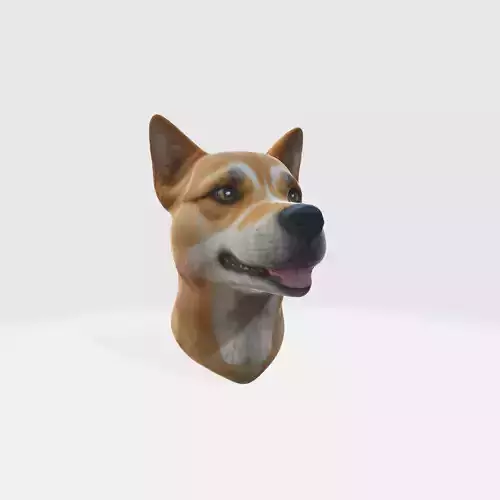 A brown and white dog