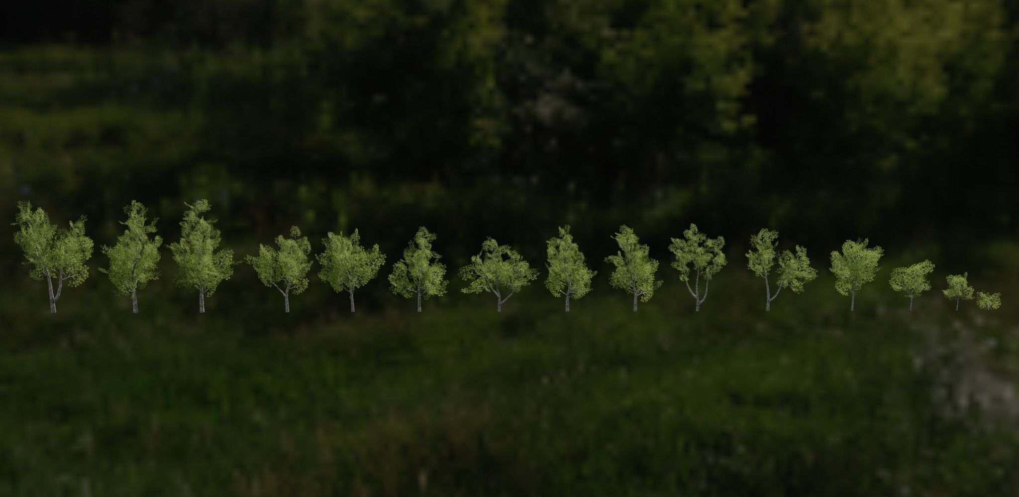 Birch Tree Forest Pack Low-poly 3D model_12