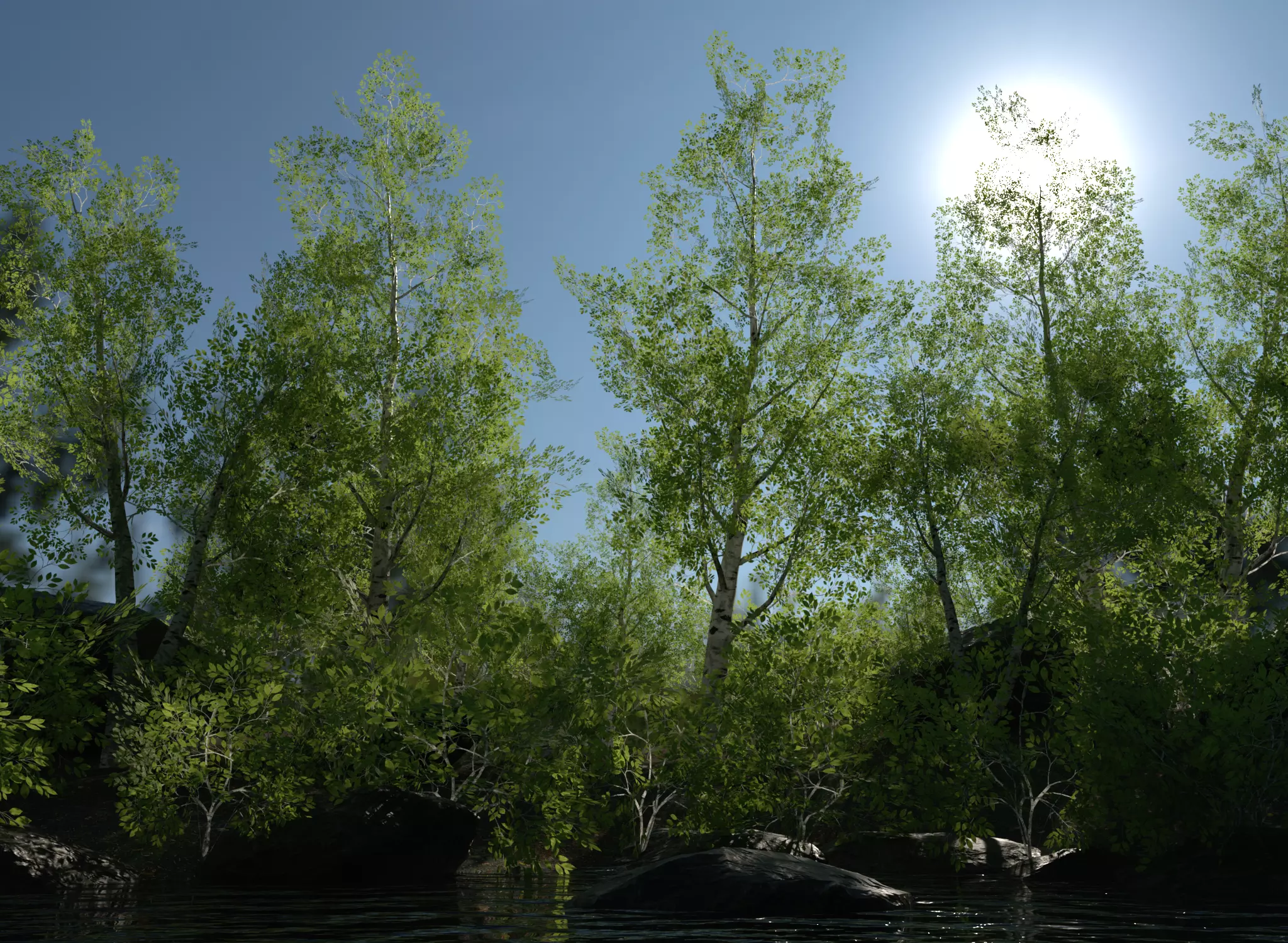 Birch Tree Forest Pack Low-poly 3D model_0