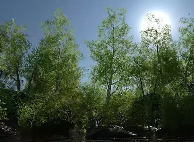 Birch Tree Forest Pack Low-poly 3D model Birch Tree Forest Pack Low-poly 3D model