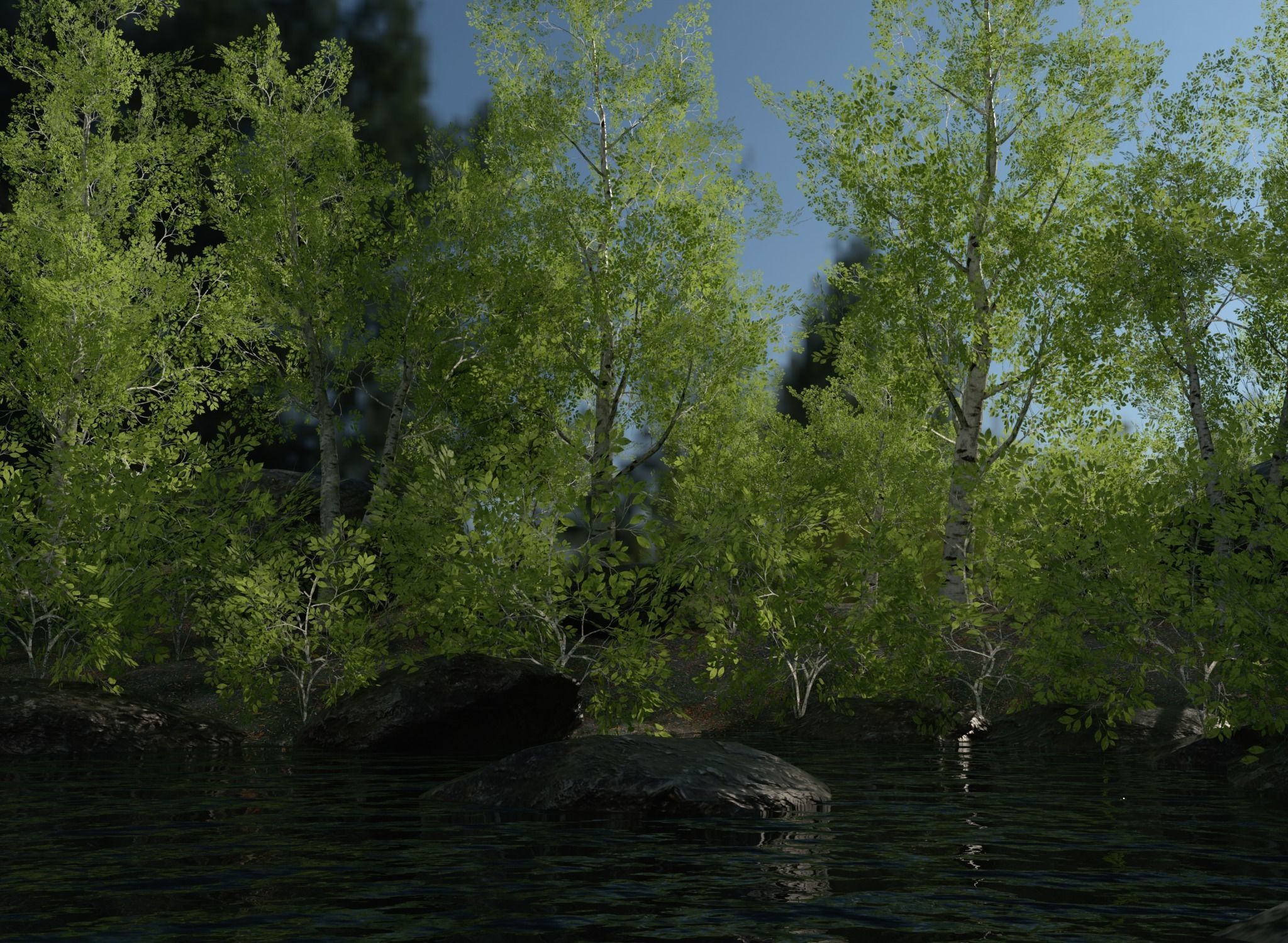 Birch Tree Forest Pack Low-poly 3D model_2