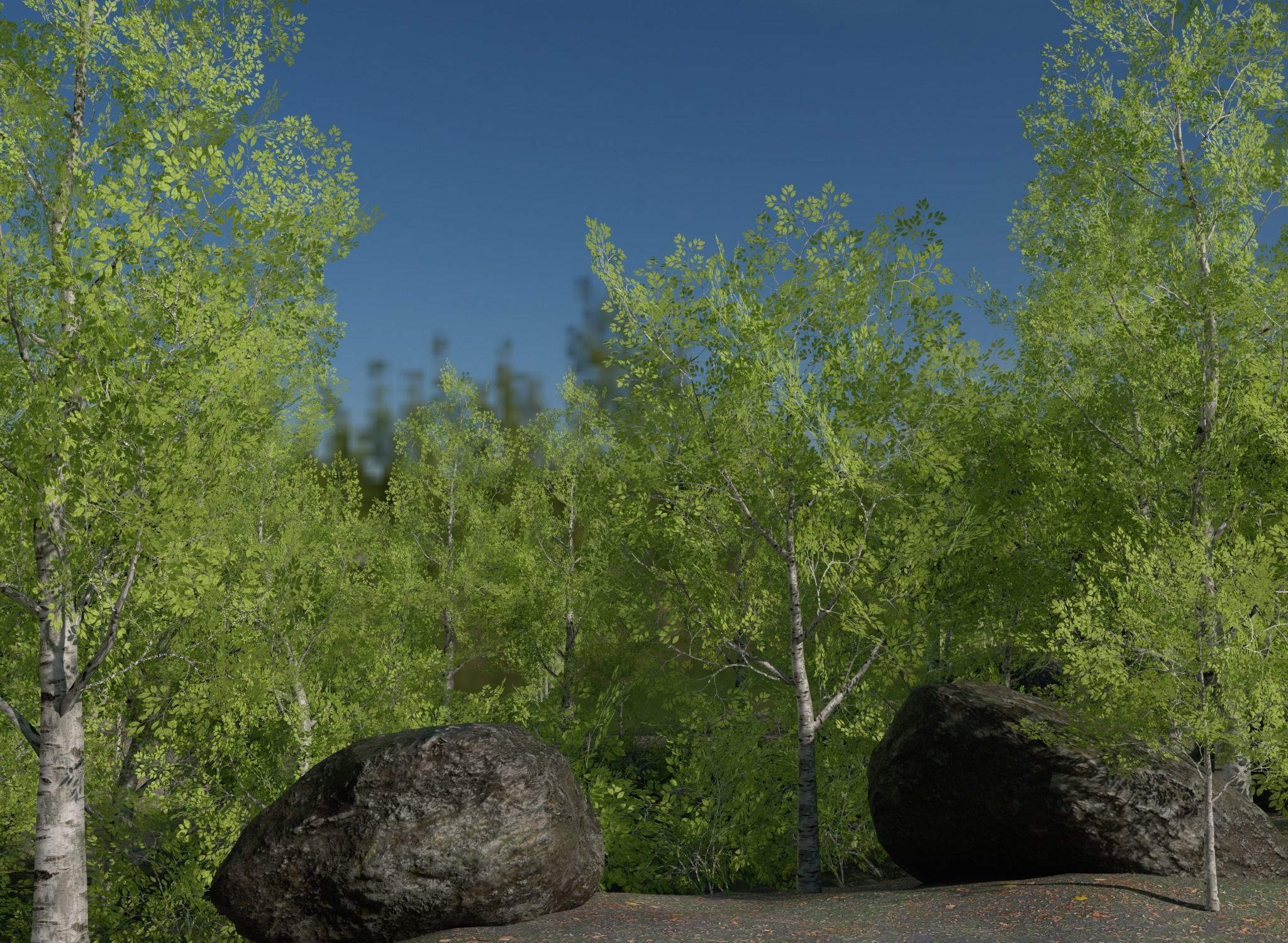 Birch Tree Forest Pack Low-poly 3D model_3