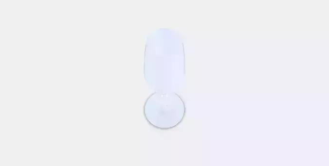 STORSINT Champagne glass