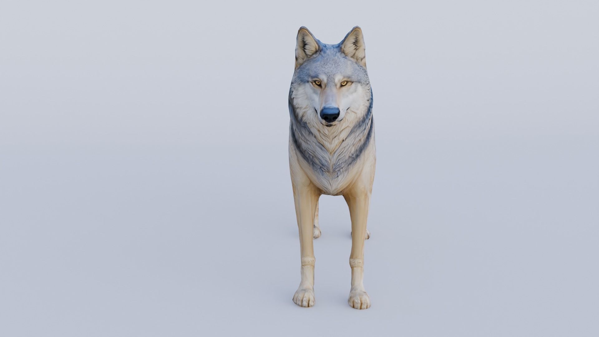 Wolf King Free 3D model_2