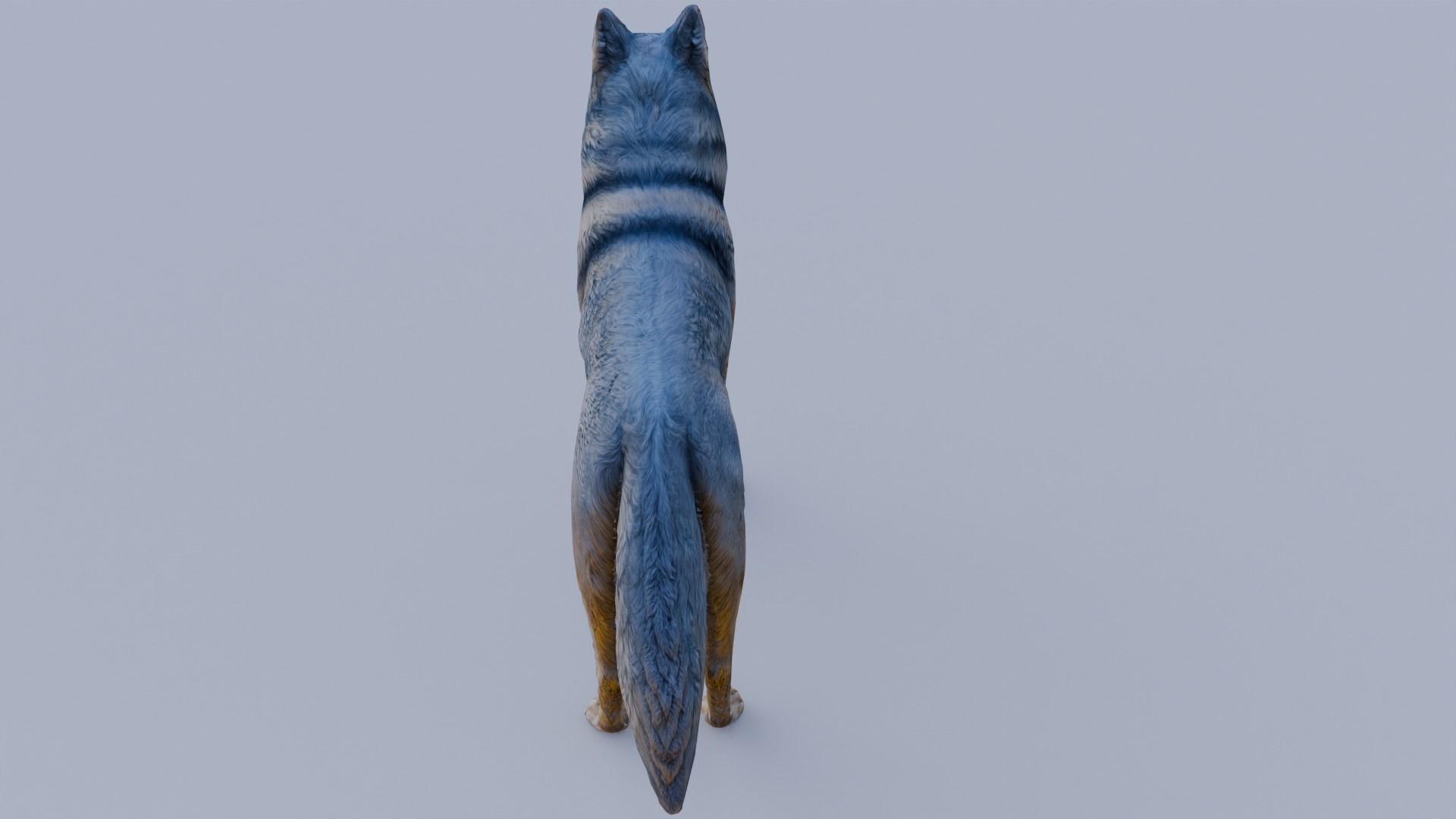 Wolf King Free 3D model_4
